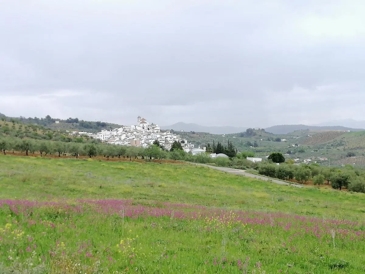 Casa Proyecto Pepe Bravo - Arte De Manos Y Corazon Bed & Breakfast Alozaina