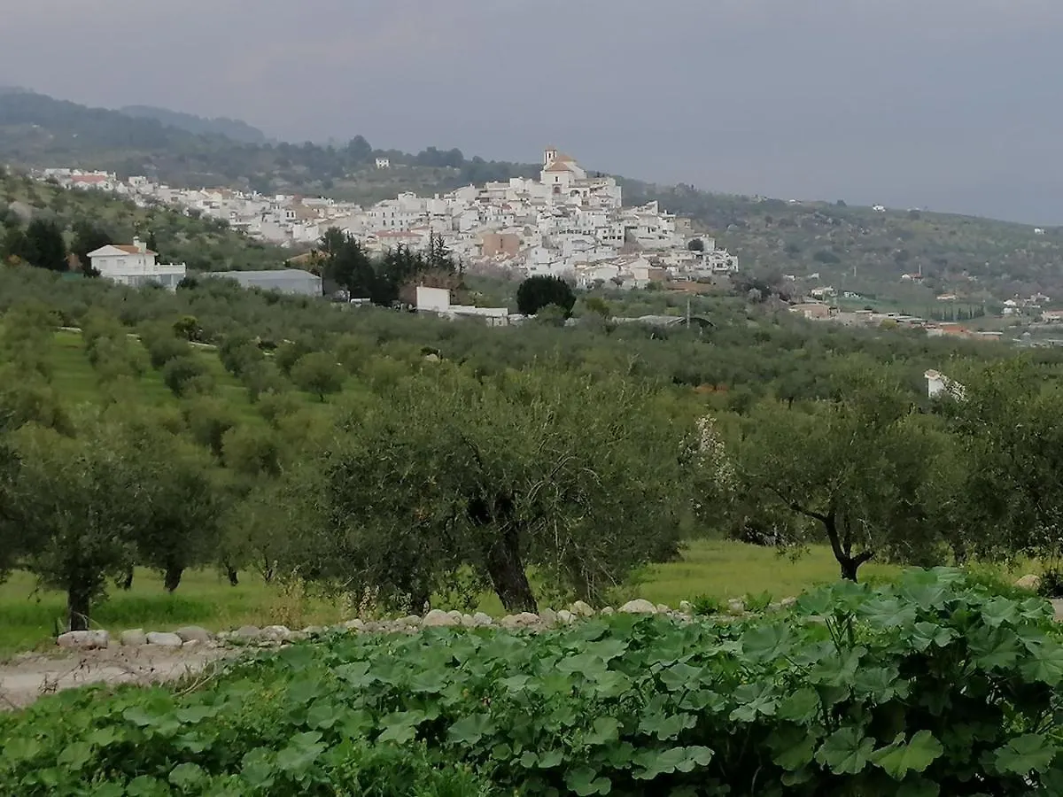 Casa Proyecto Pepe Bravo - Arte De Manos Y Corazon Bed & Breakfast Alozaina Spain