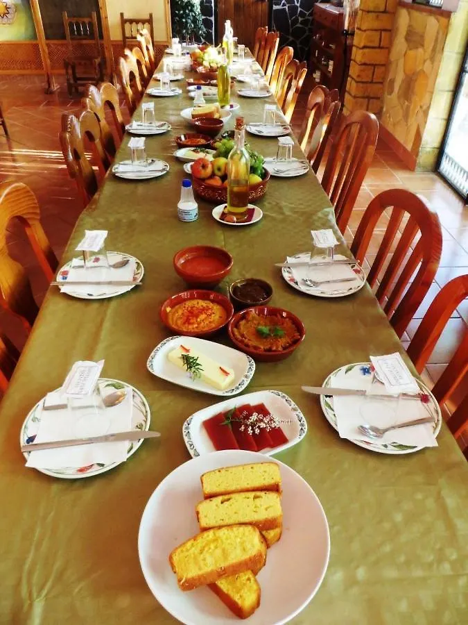 Casa Proyecto Pepe Bravo Bed & Breakfast Alozaina