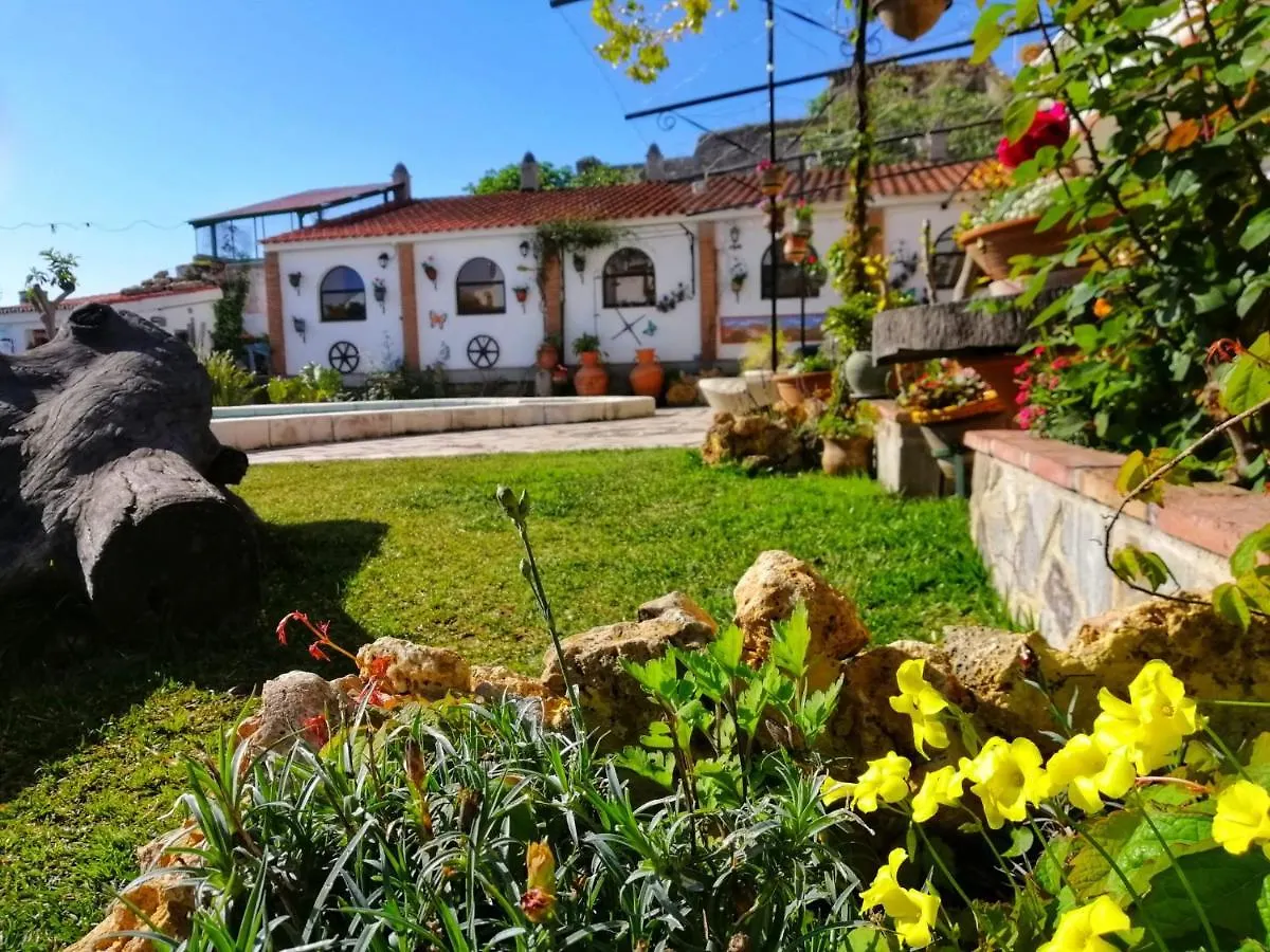 Casa Proyecto Pepe Bravo Bed & Breakfast Alozaina
