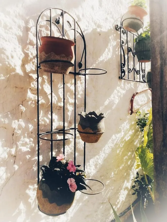 Casa Proyecto Pepe Bravo Bed & Breakfast Alozaina