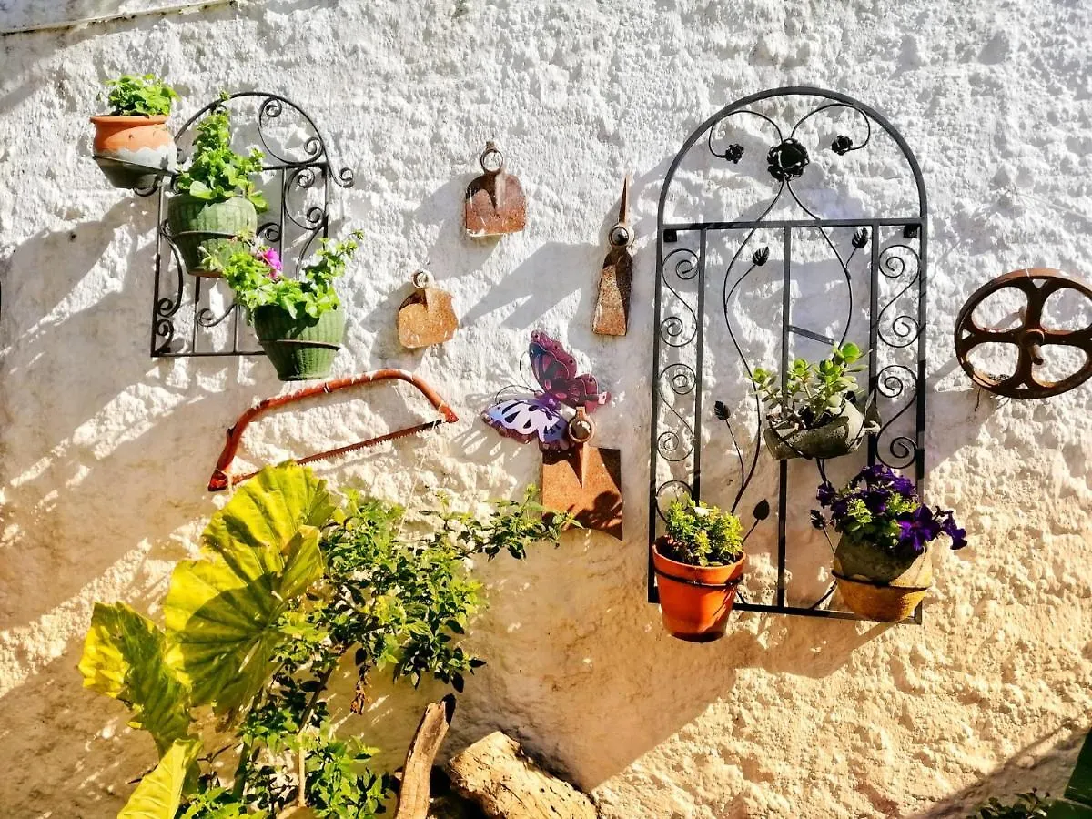 Casa Proyecto Pepe Bravo Bed & Breakfast Alozaina